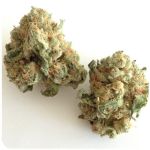 Шишки "White Widow"  (Белая вдова)  Гидропоника -  Бошка VHQ в Ардоне